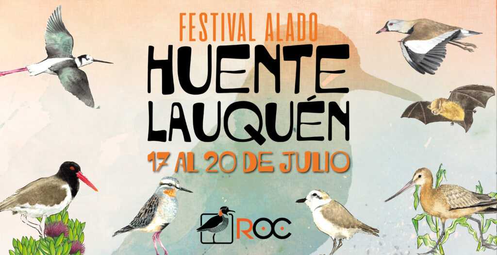 Festival Alado