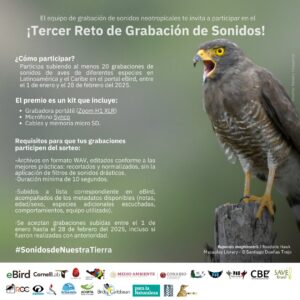 Reto grabación