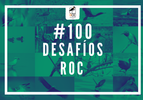 100