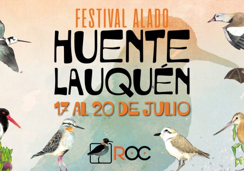 Festival Alado