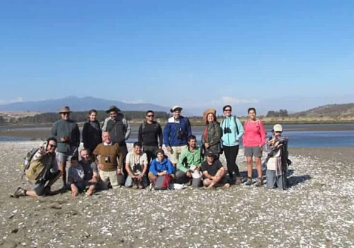 A-las-Salinas-de-Pullally