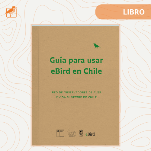 ARTÍCULO (1)