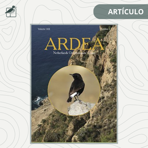 ARTÍCULO (19)