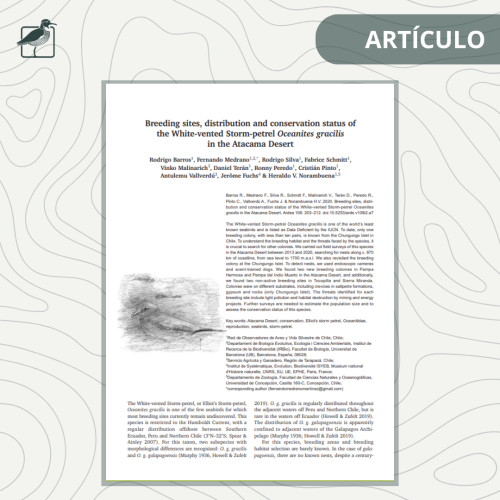 ARTÍCULO (2)
