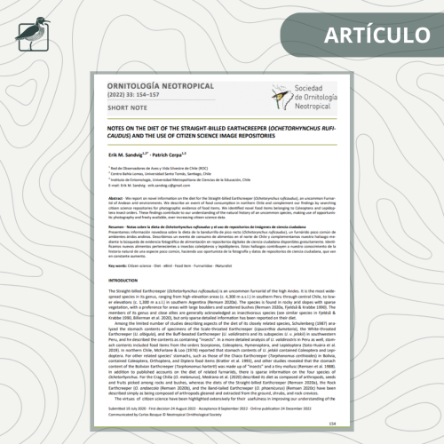 ARTÍCULO (21)