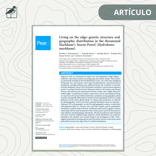 ARTÍCULO (22)
