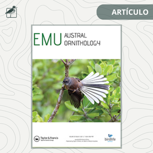 ARTÍCULO (25)