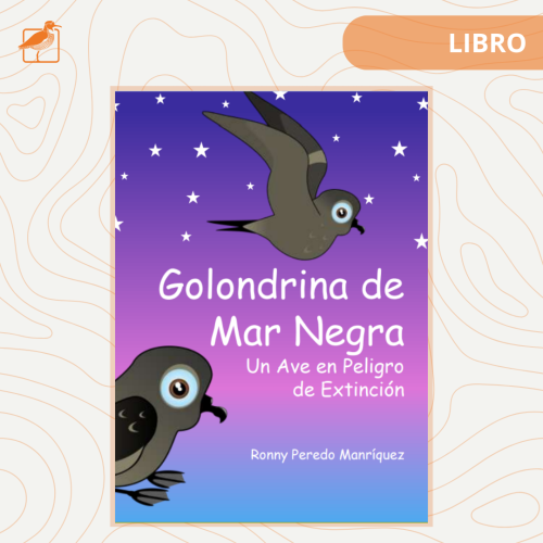 ARTÍCULO (28)