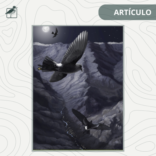 ARTÍCULO (6)