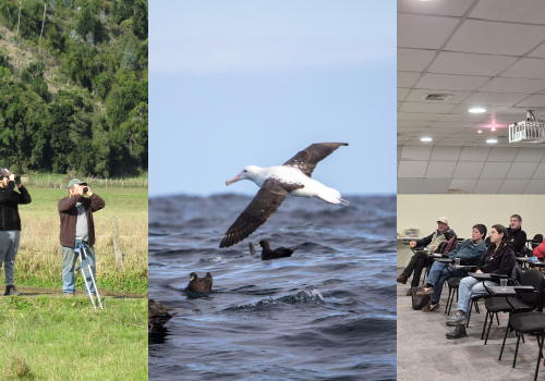 Actividades Los Lagos Abril - mayo