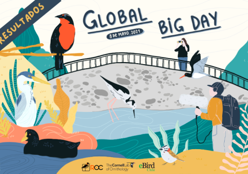 Afiche Global Big Day 2021 - Natalie Lebrun @_ichnat