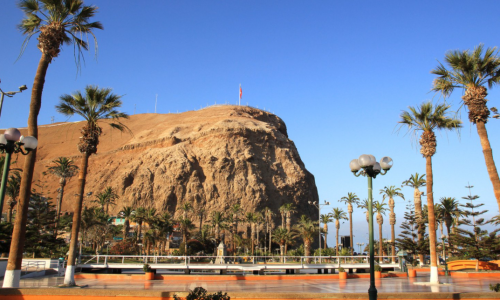 Arica