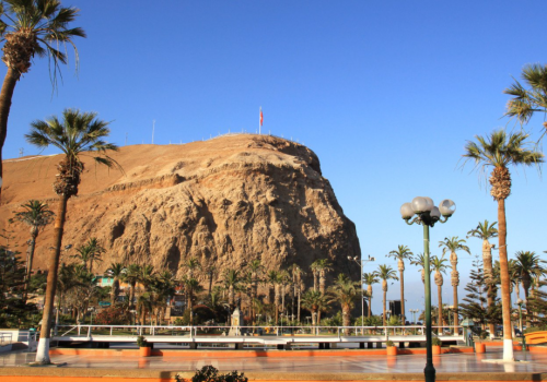 Arica