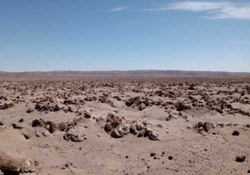 Arica