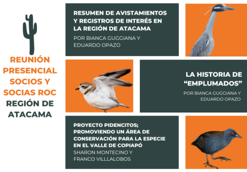 Atacama