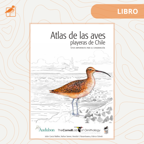 Atlas de las aves playeras de Chile
