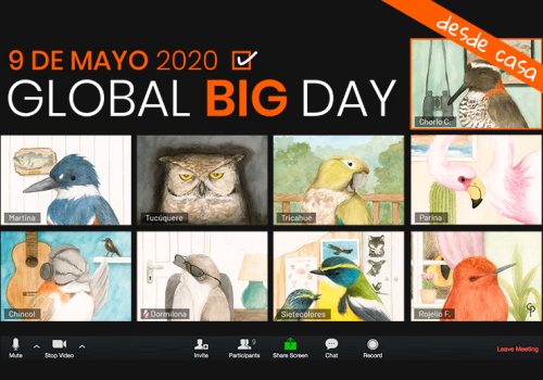 Baner-GBD-200-ROC-06