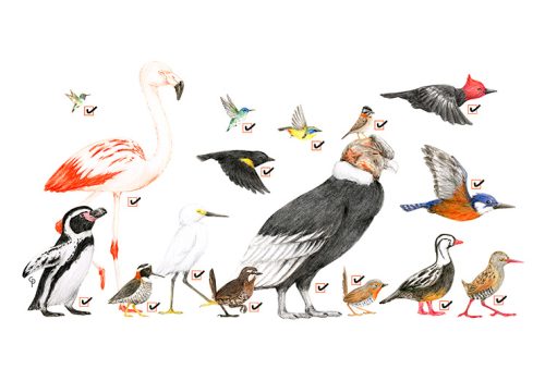 Baner-GBD-2019-ROC-00