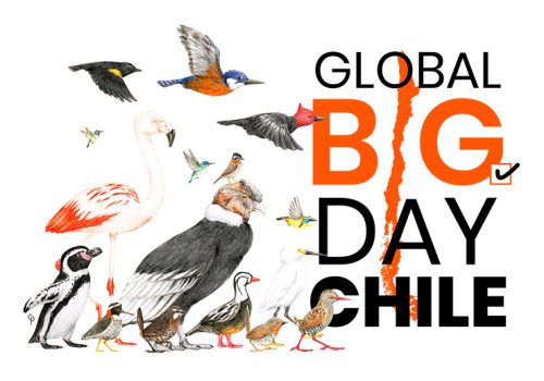 Baner-GBD-2019-ROC-01