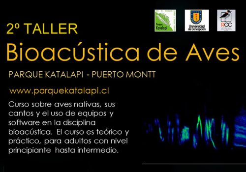 Bioacústica_2018_e