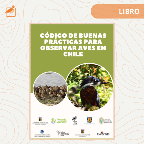 Buenas prácticas para observar aves en Chile