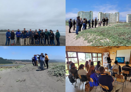 Capacitaciones