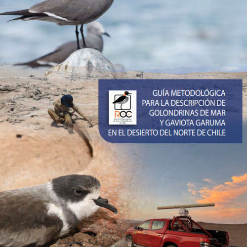Captura de pantalla 2024-12-03 202055