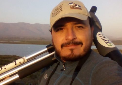 César Piñones