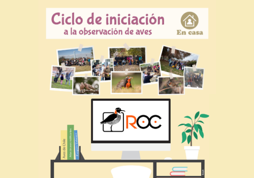Ciclo de Iniciación