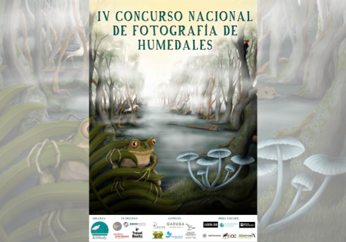 Concurso Fotografía