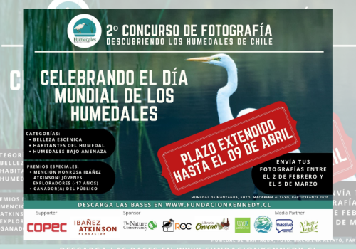 Concurso