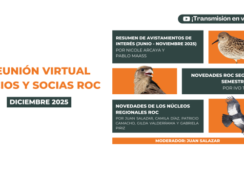 Copia de Afiche Charlas para Youtube