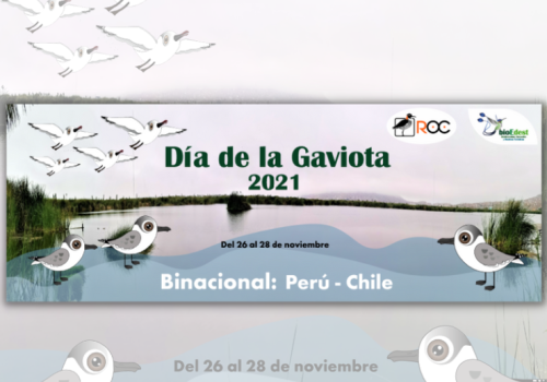DG 2021