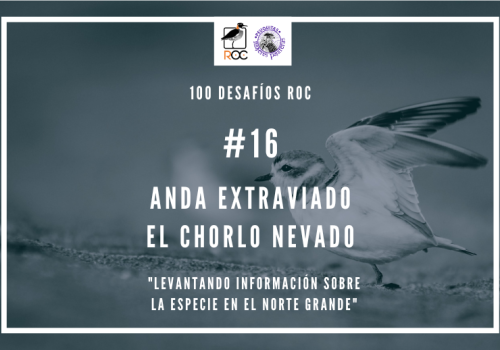 Desafio 16