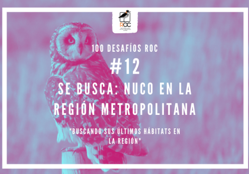 Desafío Nº12