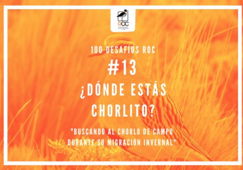 Desafío ROC Nº13