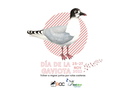 Día de la Gaviota 2022