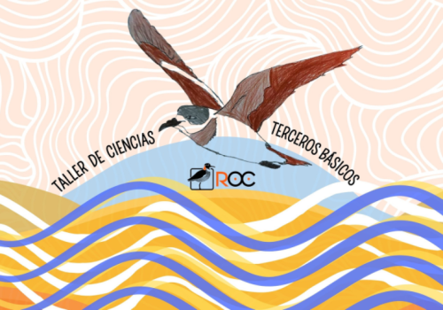 Diseño sin título