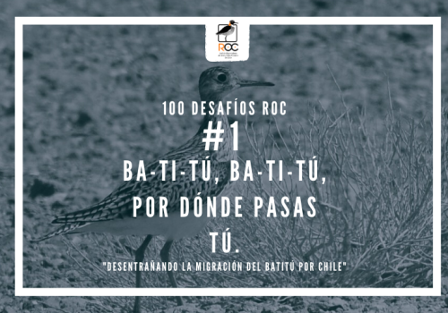 Diseño sin título