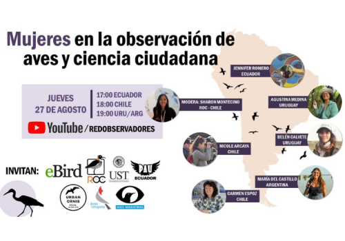 Diseño sin título (4)