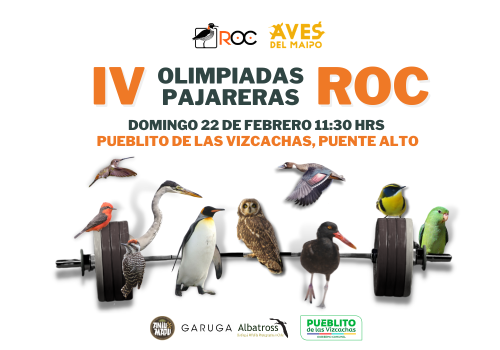 Diseño sin título (6)