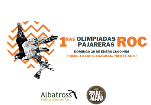 Diseño sin título