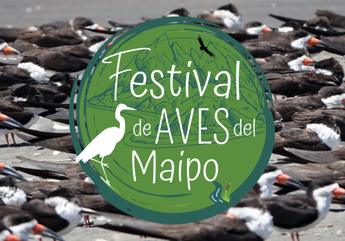 Festival de Aves del Maipo 2022