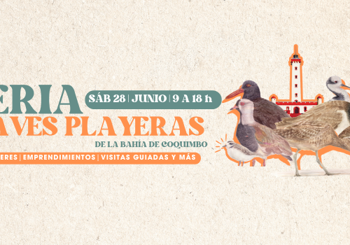 Feria por las aves playeras Bahía de Coquimbo 28JUNIO
