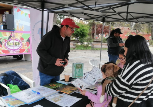 Feria stand Romeral - (1)