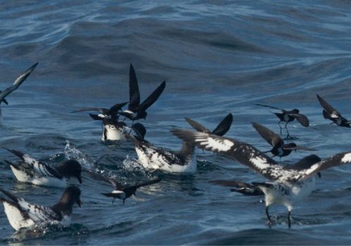 Fotos_tamaño_web_pagina-01