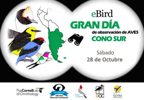 Ganadores observacion de aves