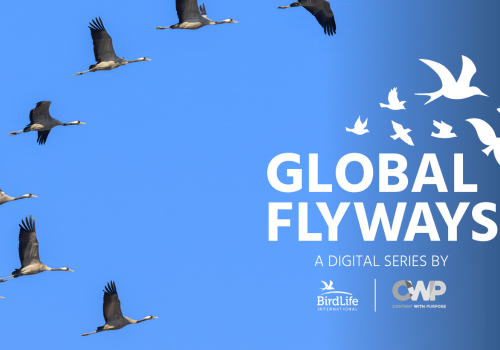 Global Flyways BirdLife ROC