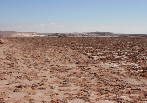 Golondrinas del Desierto