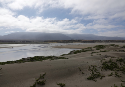 HUENTELAUQUÉN